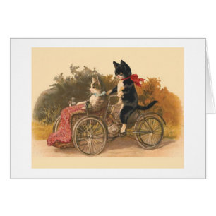 Vintage - Katzen auf einer Fahrradtour,