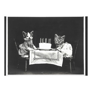 Vintage Katzen auf einer Geburtstagsfeier Fotodruck