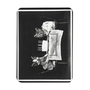 Vintage Katzen auf einer Geburtstagsfeier Magnet