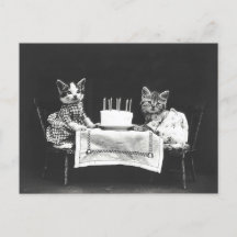 Vintage Katzen auf einer Geburtstagsfeier