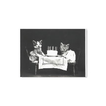 Vintage Katzen auf einer Geburtstagsparty