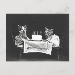 Vintage Katzen auf einer Geburtstagsparty Postkarte