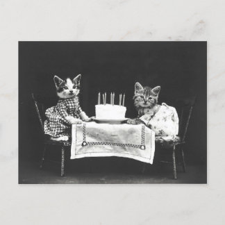 Vintage Katzen auf einer Geburtstagsparty Postkarte