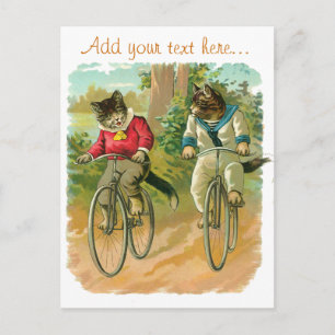 Vintage Katzen auf Fahrrädern Postkarte