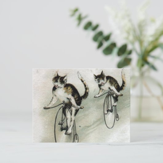 Vintage Katzen auf Rädern Postkarte (Stehend Vorderseite)