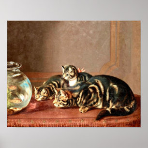 Vintage Katzen, die Fische in einer Fischschüssel Poster