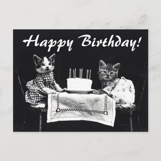 Vintage Katzen Happy Birthday Postcard Postkarte (Vorderseite)