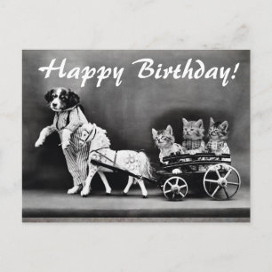 Vintage Katzen & Hunde Happy Geburtstag Postkarte