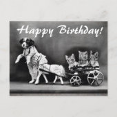 Vintage Katzen & Hunde Happy Geburtstag Postkarte (Vorderseite)
