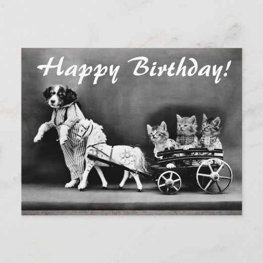 Vintage Katzen & Hunde Happy Geburtstag Postkarte (Vorderseite)