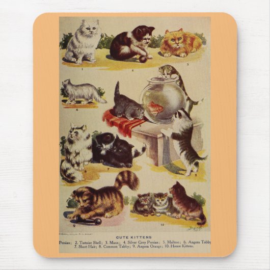 Vintage Katzen Kater Zucht Diagramm süß Mousepad (Vorne)