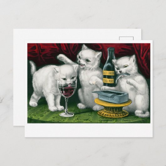 Vintage Katzen Postkarte (Vorne/Hinten)