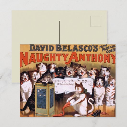 Vintage Katzen Postkarte (Vorne/Hinten)