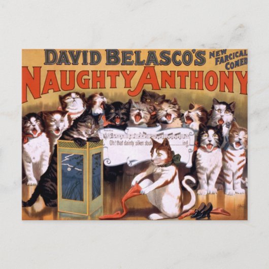 Vintage Katzen Postkarte (Vorderseite)
