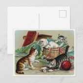 Vintage Katzen Postkarte (Vorne/Hinten)