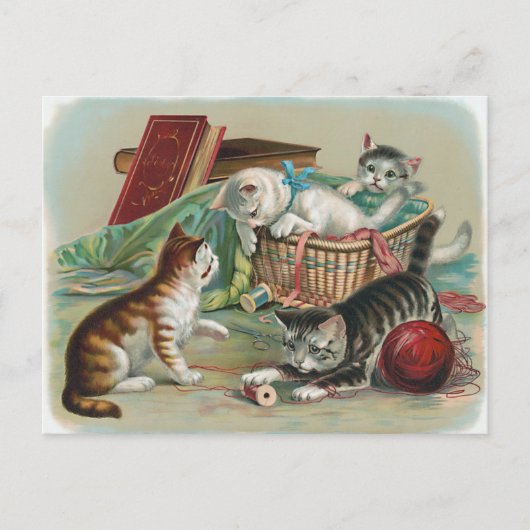 Vintage Katzen Postkarte (Vorderseite)