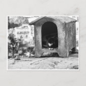 Vintage Katzen Postkarte (Vorderseite)