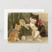 Vintage Katzen Postkarte (Vorne/Hinten)