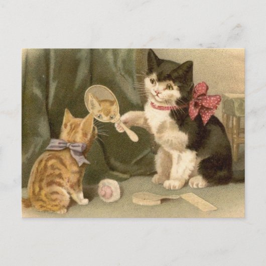 Vintage Katzen Postkarte (Vorderseite)