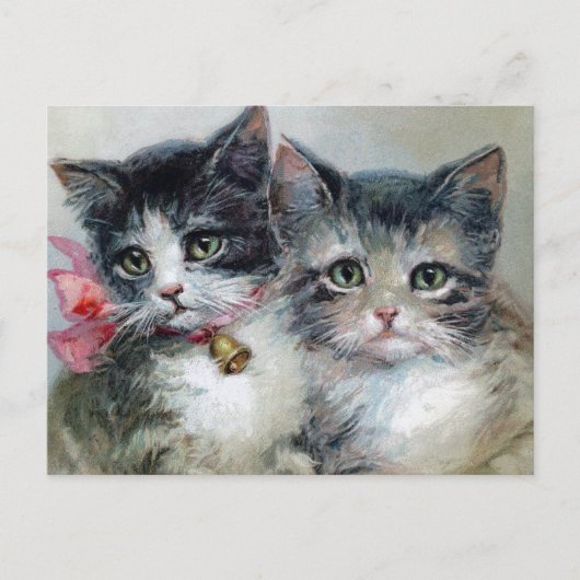 Vintage Katzen Postkarte (Vorderseite)