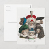 Vintage Katzen Postkarte (Vorne/Hinten)