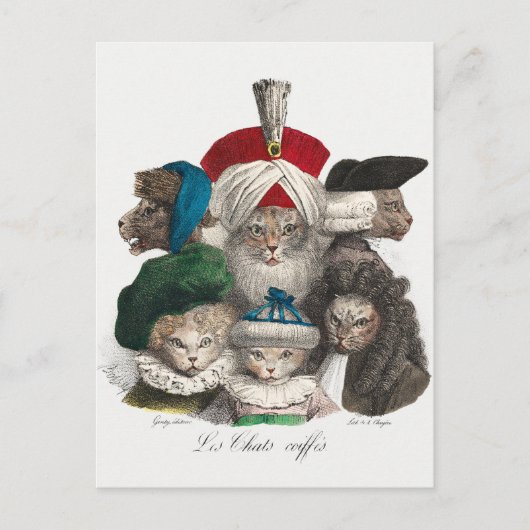 Vintage Katzen Postkarte (Vorderseite)