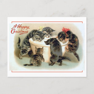 Vintage Katzen Spaß Postkarte