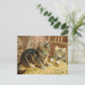 Vintage Katzen - Viktorianische Katze Kunst Postka Postkarte (Stehend Vorderseite)