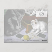 Vintage Katzenfamilie Postkarte (Rückseite)