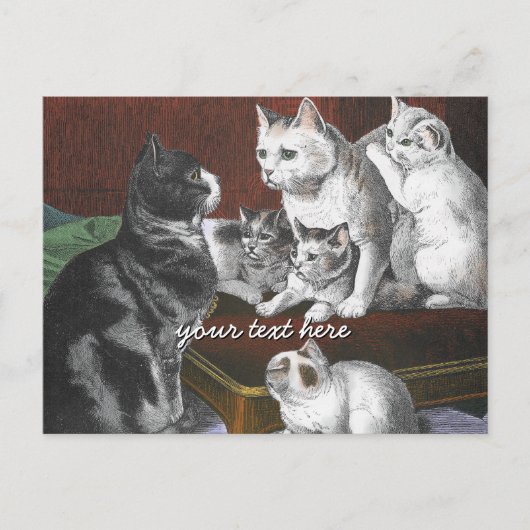 Vintage Katzenfamilie Postkarte (Vorderseite)