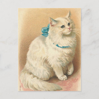 Vintage Katzenpostkarten Postkarte