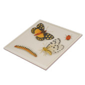 Vintage Keramik Fliese (Seite)