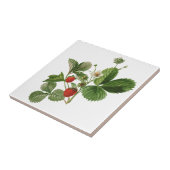 Vintage Keramik Fliese (Seite)