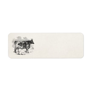 Vintage Kerry Cow Personalisiert Bull Illustration