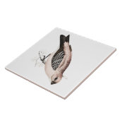 Vintage Kiefer Grossbeak Lied-Vogel-Illustration Fliese (Seite)