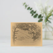 Vintage Kiefernbaum-Silhouette, Sonnenaufgang Postkarte (Stehend Vorderseite)