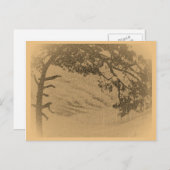 Vintage Kiefernbaum-Silhouette, Sonnenaufgang Postkarte (Vorne/Hinten)