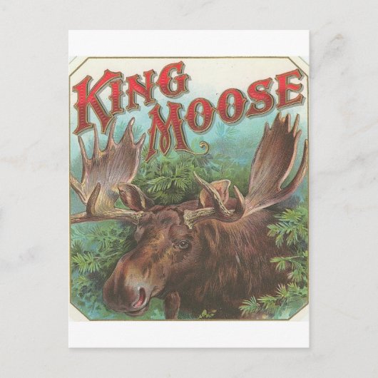 Vintage King Moose Postkarte (Vorderseite)
