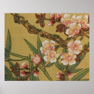 Vintage Kirschblüten Asiatische Japanische Blumen Poster