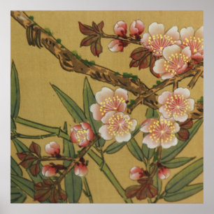 Vintage Kirschblüten Asiatische Japanische Blumen Poster