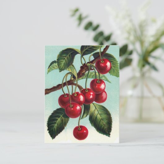 Vintage Kirschen auf einer Zweigstellenkarte Postkarte (Stehend Vorderseite)