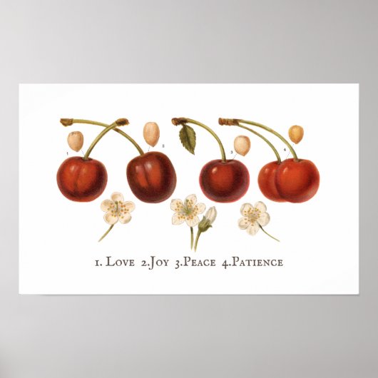 Vintage Kirschen Fruchtcotattcore Antiquitätenpost Poster (Vorne)