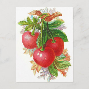 Vintage-Kirschen-Illustration Postkarte