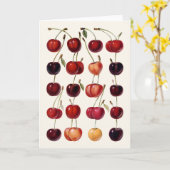 Vintage Kirschen Karte (Gelbe Blume)