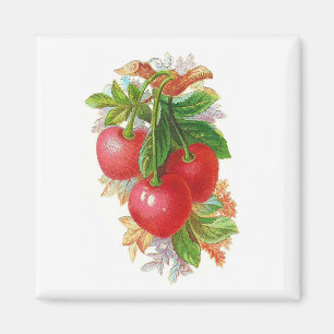 Vintage Kirschen Magnet