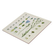 Vintage Kitchen Art: Flaxseed Linseed Flax Plant Fliese (Seite)