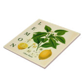 Vintage Kitchen Art: Lemon Citrus Tree flowers Fliese (Seite)