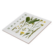 Vintage Kitchen Art: Mustard Herbs & Spices Plants Fliese (Seite)