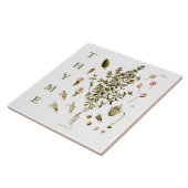 Vintage Kitchen Garden Thyme Herb plant flowers Fliese (Seite)