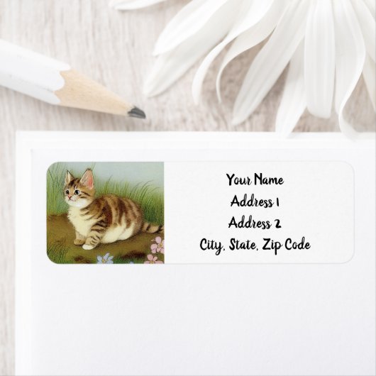 Vintage Kitten Illustration mit Blume (Insitu)